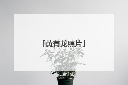 黄有龙照片