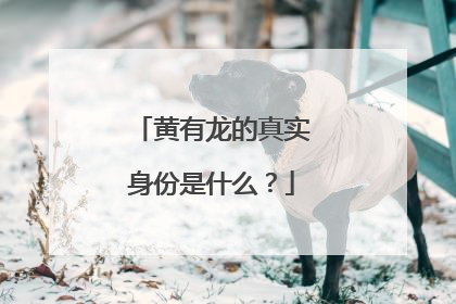 黄有龙的真实身份是什么？