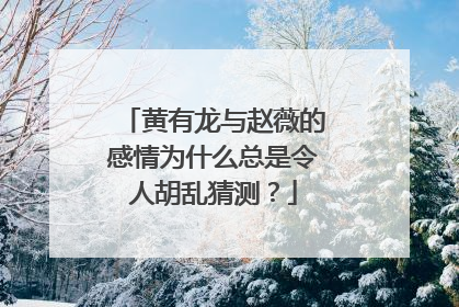 黄有龙与赵薇的感情为什么总是令人胡乱猜测?