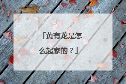 黄有龙是怎么起家的？