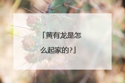 黄有龙是怎么起家的?