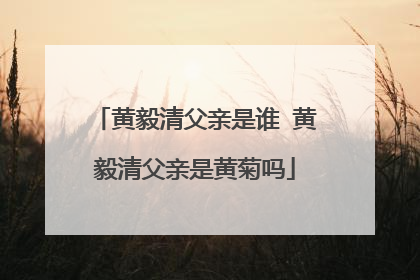 黄毅清父亲是谁 黄毅清父亲是黄菊吗