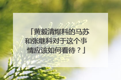 黄毅清爆料的马苏和张继科对于这个事情应该如何看待?