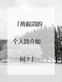 黄毅清的个人简介如何？