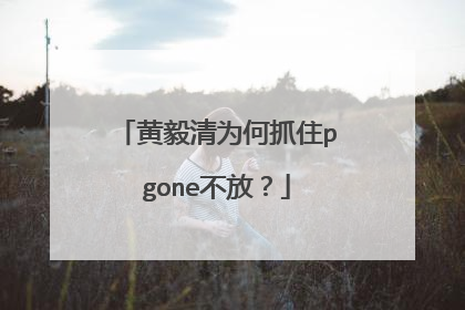 黄毅清为何抓住pgone不放？