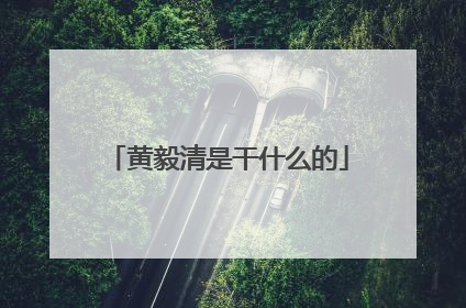 黄毅清是干什么的