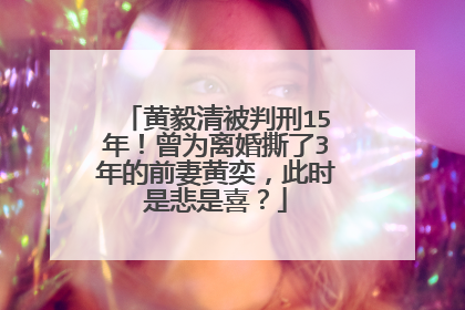 黄毅清被判刑15年！曾为离婚撕了3年的前妻黄奕，此时是悲是喜？