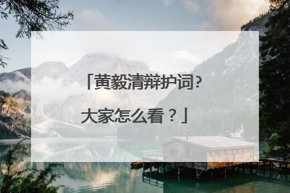 黄毅清辩护词?大家怎么看？
