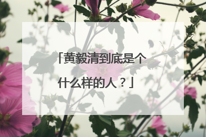 黄毅清到底是个什么样的人？