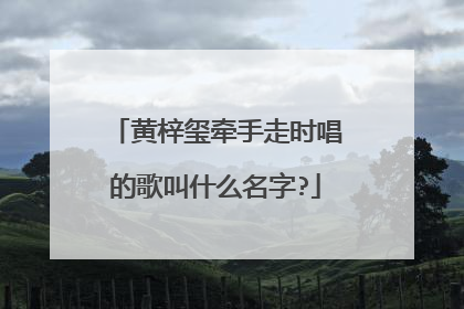 黄梓玺牵手走时唱的歌叫什么名字?