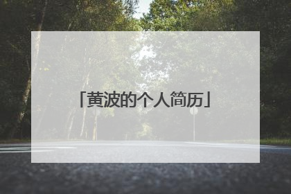 黄波的个人简历