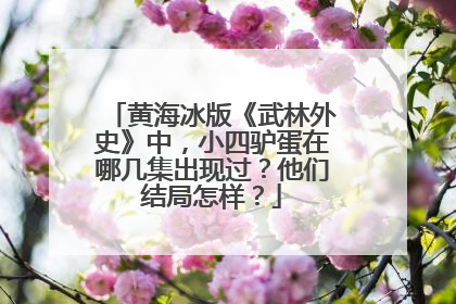 黄海冰版《武林外史》中,小四驴蛋在哪几集出现过?他们结局怎样?