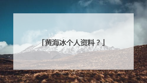 黄海冰个人资料？