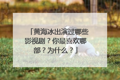 黄海冰出演过哪些影视剧？你最喜欢哪部？为什么？