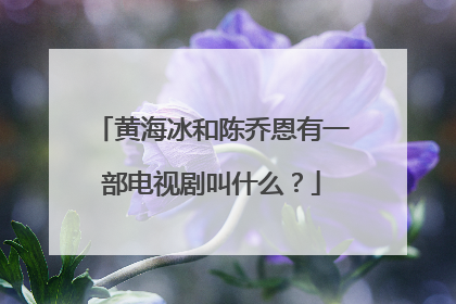 黄海冰和陈乔恩有一部电视剧叫什么?