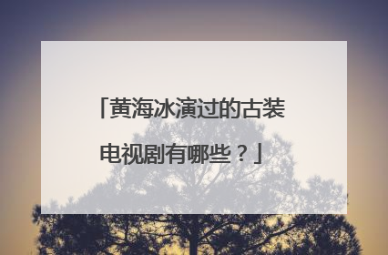 黄海冰演过的古装电视剧有哪些？