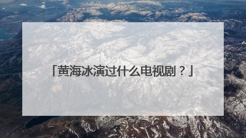 黄海冰演过什么电视剧？