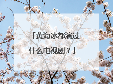 黄海冰都演过什么电视剧？