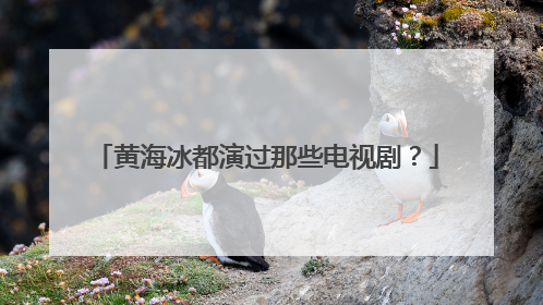 黄海冰都演过那些电视剧？