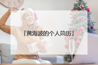 黄海波的个人简历