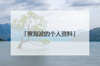 黄海波的个人资料