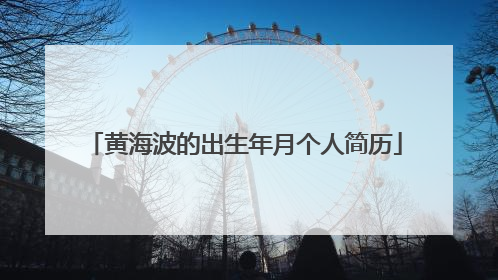 黄海波的出生年月个人简历