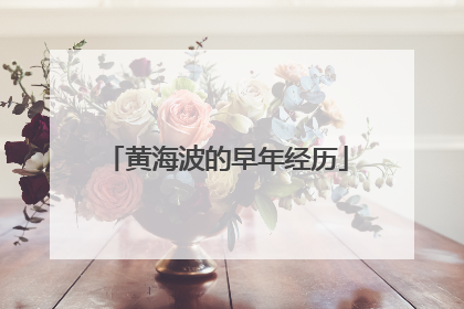 黄海波的早年经历