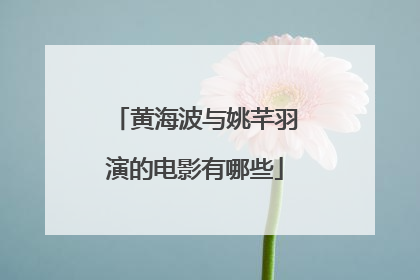 黄海波与姚芊羽演的电影有哪些