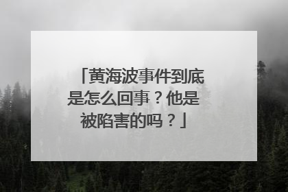 黄海波事件到底是怎么回事?他是被陷害的吗?