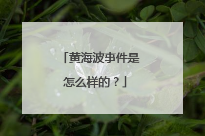 黄海波事件是怎么样的?