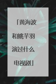 黄海波和姚芊羽演过什么电视剧