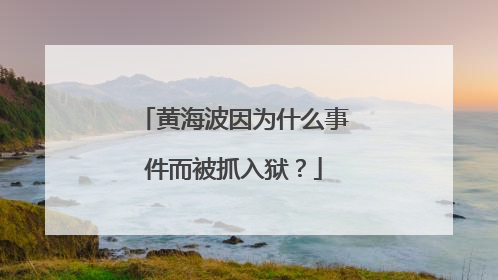 黄海波因为什么事件而被抓入狱?