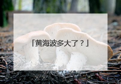 黄海波多大了?