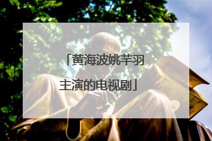 黄海波姚芊羽主演的电视剧