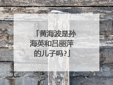 黄海波是孙海英和吕丽萍的儿子吗?