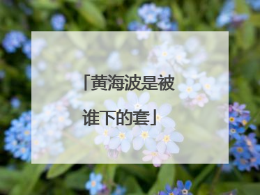 黄海波是被谁下的套