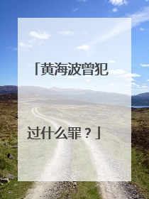 黄海波曾犯过什么罪?