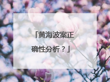 黄海波案正确性分析？