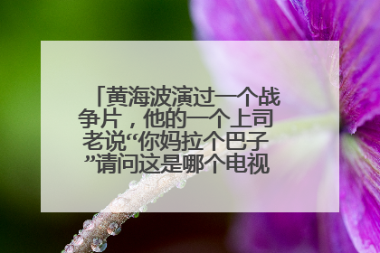 黄海波演过一个战争片,他的一个上司老说“你妈拉个巴子”请问这是哪个电视剧,第几集?