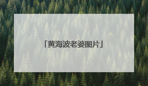 黄海波老婆图片