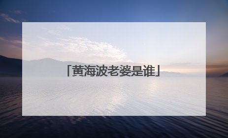 黄海波老婆是谁