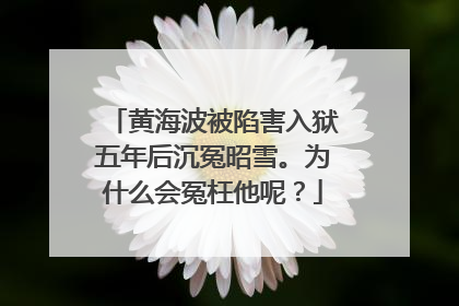 黄海波被陷害入狱五年后沉冤昭雪。为什么会冤枉他呢?