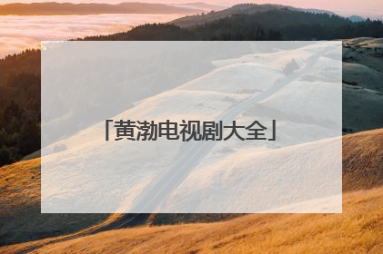 黄渤电视剧大全