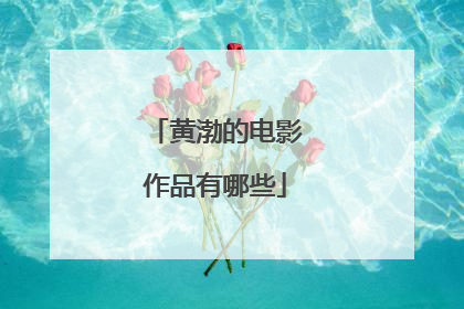 黄渤的电影作品有哪些