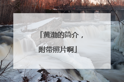 黄渤的简介，附带照片啊