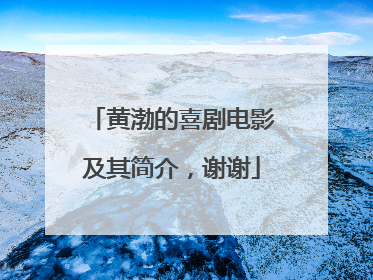 黄渤的喜剧电影及其简介，谢谢