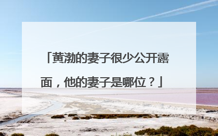黄渤的妻子很少公开露面，他的妻子是哪位？