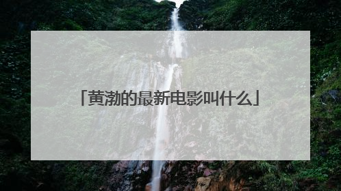 黄渤的最新电影叫什么
