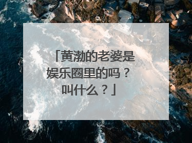 黄渤的老婆是娱乐圈里的吗？叫什么？