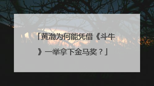 黄渤为何能凭借《斗牛》一举拿下金马奖?